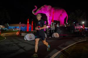 BIB: 
                            <button type="button" onclick="openModal(26552112)" class="btn btn-primary btn-sm float-right btn-popup" data-toggle="modal" data-target=".modal-high-quality">
                        <i class="fas fa-shopping-cart"></i> Add to Cart
                    </button>
                                            <button type="button" onclick="isThisMe(26552112, true)" class="btn btn-success btn-sm float-right btn-popup btn-isme hidden" data-toggle="tooltip" data-placement="bottom" title="นี่คือรูปของคุณใช่ไหม คลิกที่นี่เพื่อเอาเข้าอัลบั้ม">
                        <i class="fas fa-plus"></i> Add to album
                    </button>
                    <button type="button" onclick="isThisMe(26552112, false)" class="btn btn-warning btn-sm float-right btn-popup btn-isnotme hidden">
                        <i class="fas fa-ban"></i> Remove from album
                    </button>